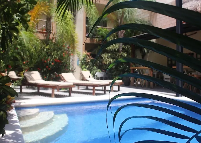 Hotel Basic 3*