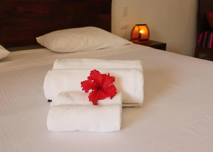 Basic Hotel 3*