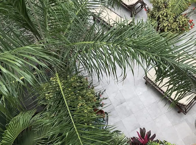Basic 3* Tulum